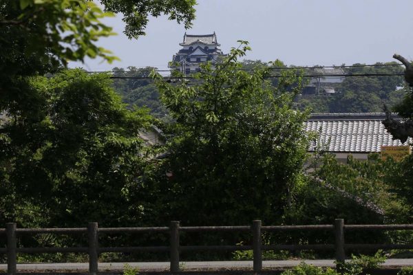 散策路から彦根城が見える