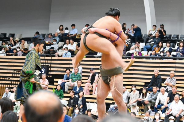 和歌桜関と栃満関