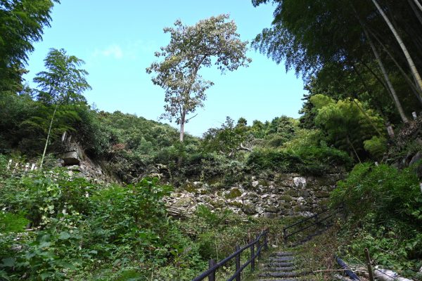 出丸跡に続く登山道