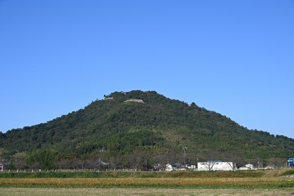 南西の方角から見た八幡山