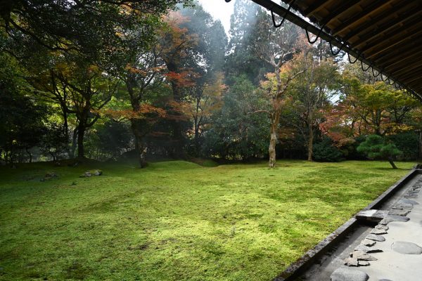 枯山水庭園