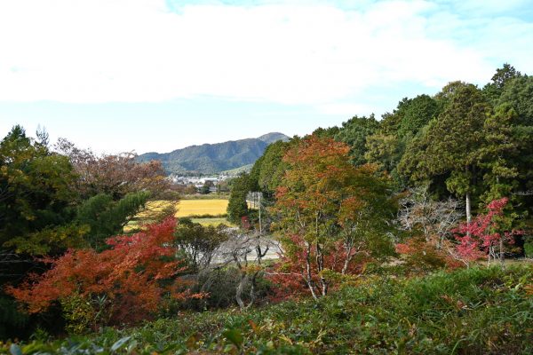 中央奥は小谷山（海抜495メートル） ここからの眺望は江戸時代とあまり変わらないという