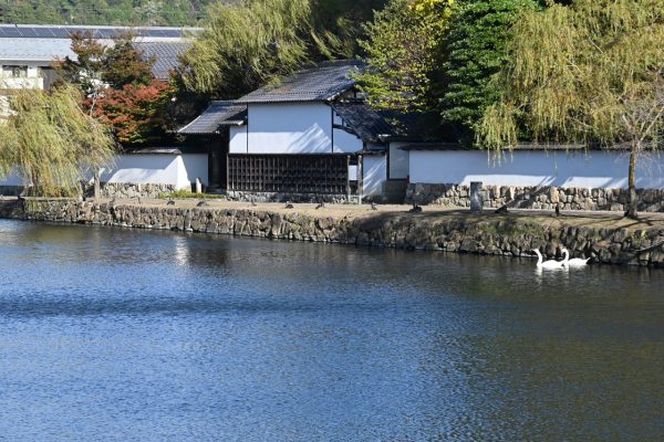 埋木舎（うもれぎのや）（国特別史跡）