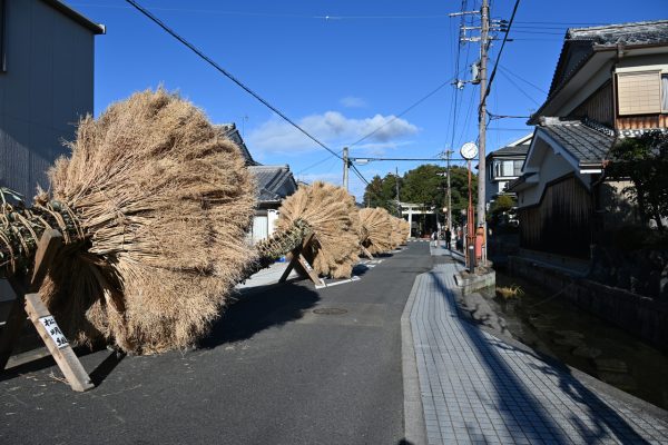 長さ約5メートル、直径約4メートルのたいまつ