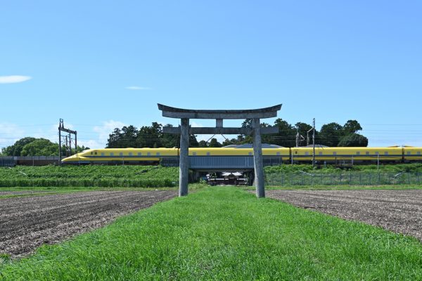 篠田神社（近江八幡市）