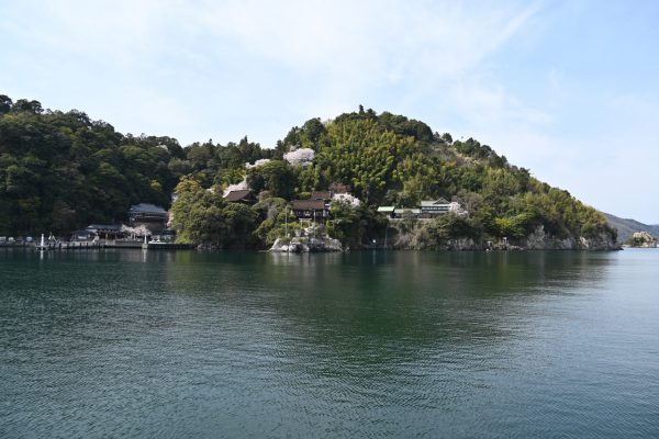 竹生島の桜も船から楽しめる