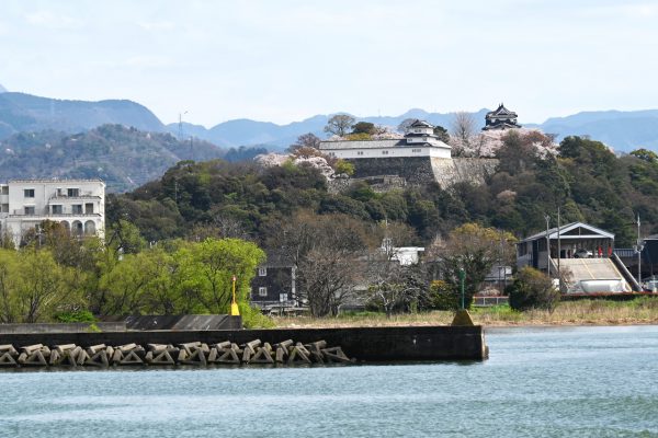 湖上から望む彦根城