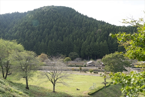 特別史跡 一乗谷朝倉氏遺跡