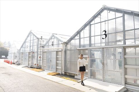 SYMBIOSIS FARM by YANMAR